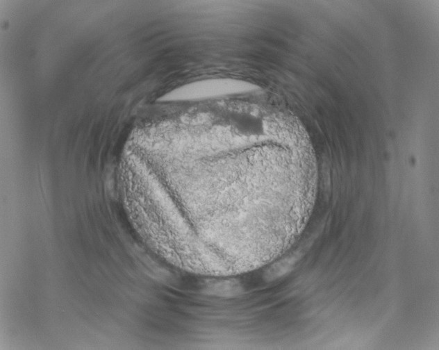 X0000076350185200610272129