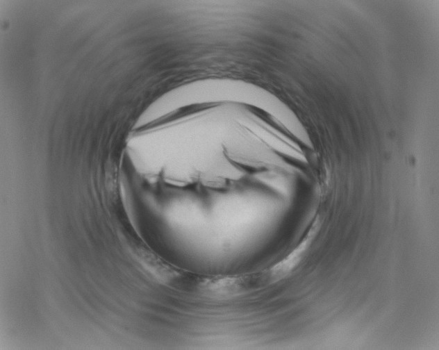 X0000076350186200610272129