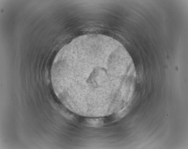 X0000076350187200610272129