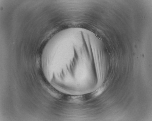 X0000076350188200610272129