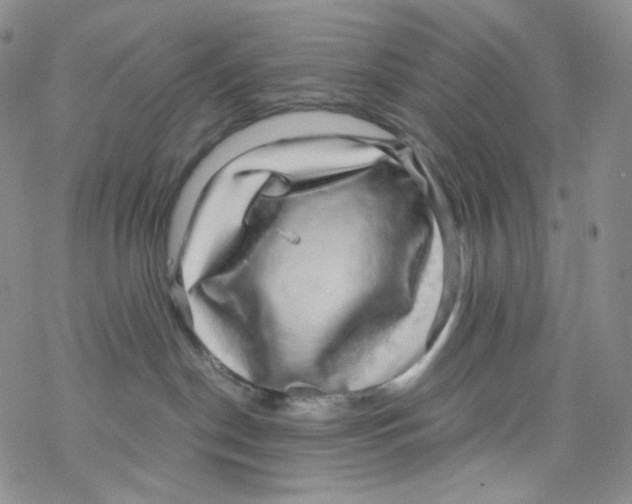 X0000076350190200610272129