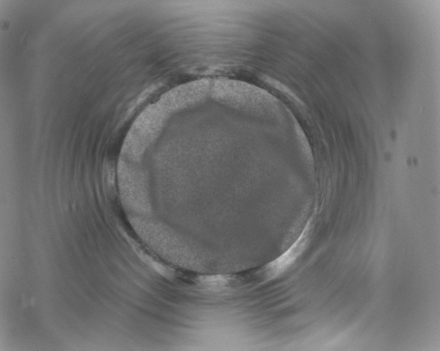 X0000076350192200610272129