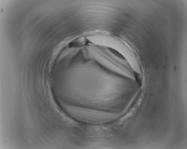 X0000076350193200610272128