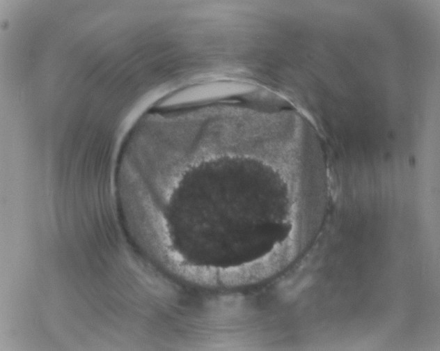 X0000076350196200610272128