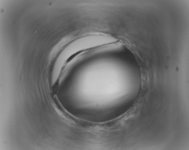 X0000076350197200610272128