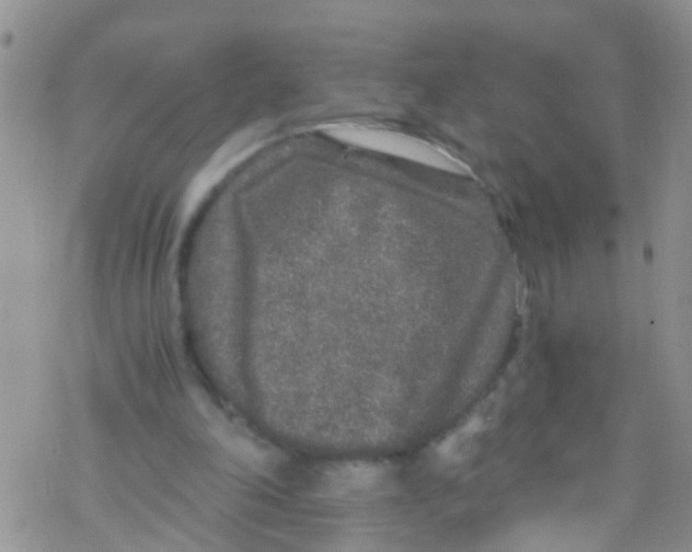 X0000076350198200610272128