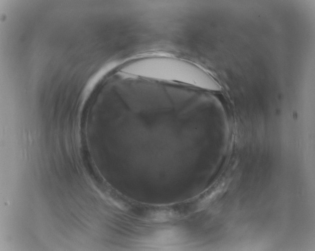 X0000076350200200610272128