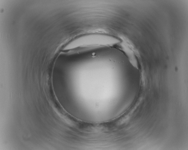 X0000076350201200610272128