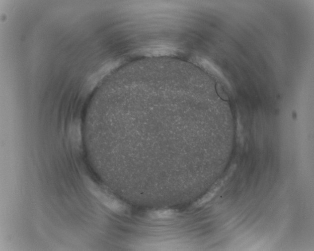 X0000076350202200610272128