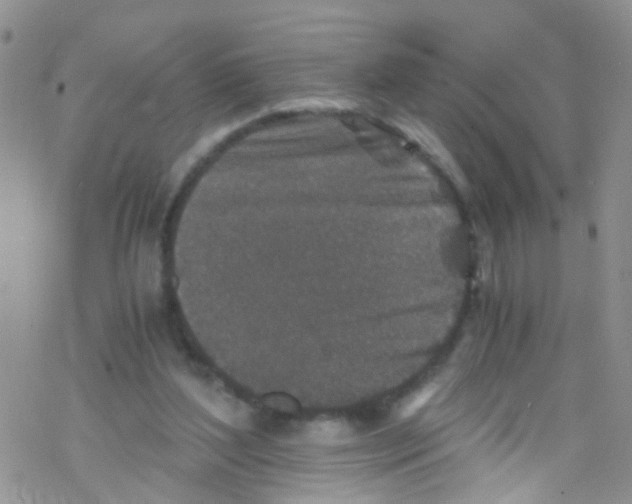 X0000076350204200610272128