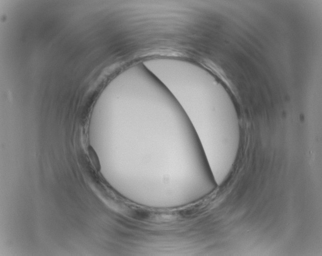 X0000076350205200610272128