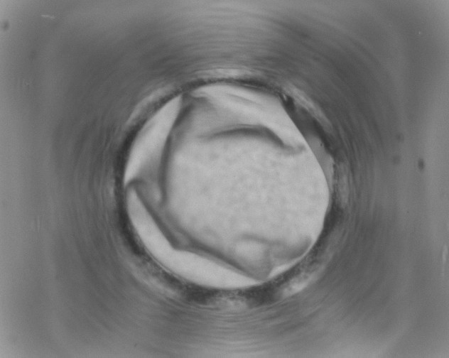 X0000076350207200610272128