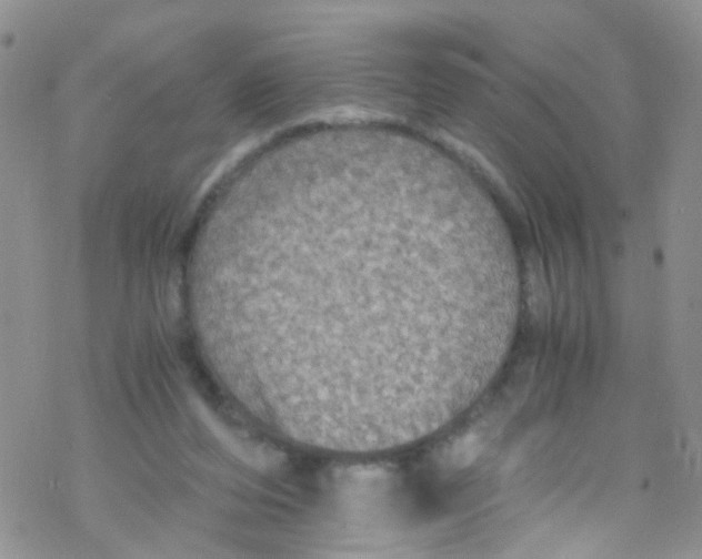 X0000076350208200610272128