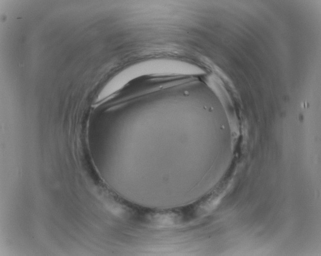 X0000076350209200610272128