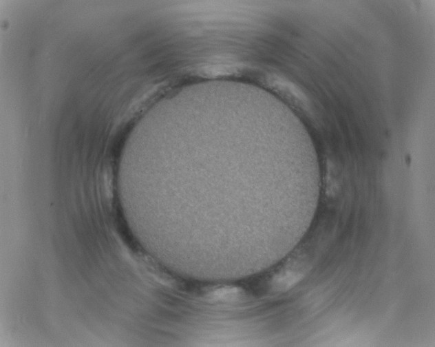 X0000076350210200610272128