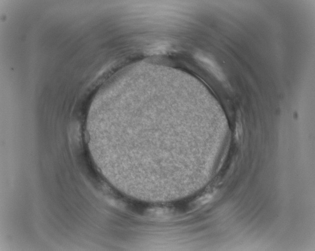 X0000076350211200610272128