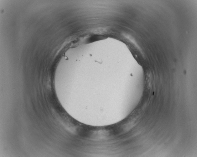 X0000076350212200610272128