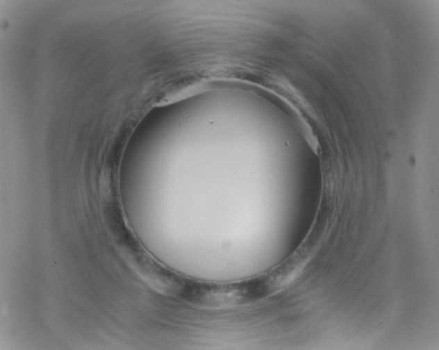 X0000076350213200610272128