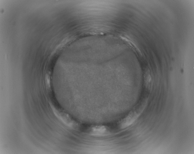 X0000076350214200610272128