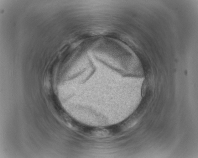 X0000076350215200610272128