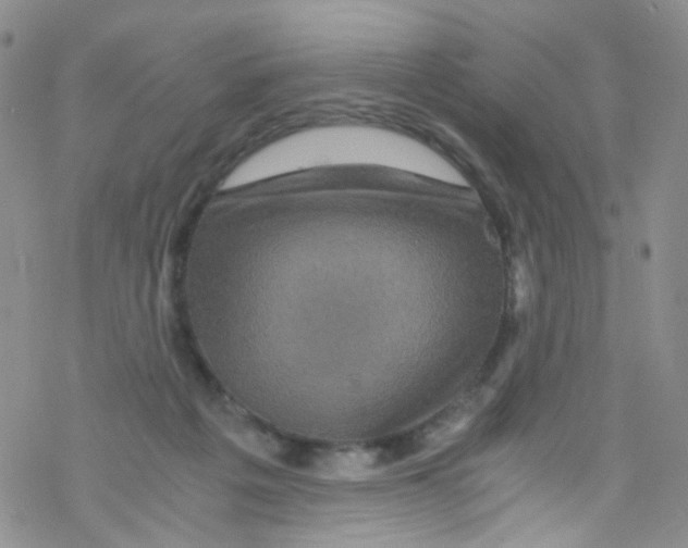 X0000076350217200610272128