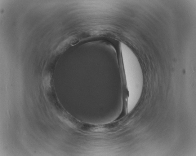 X0000076350219200610272128