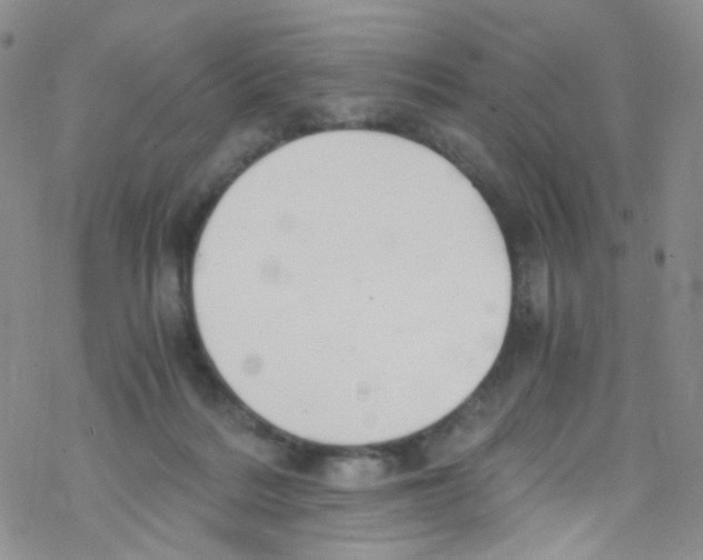 X0000076350220200610272128