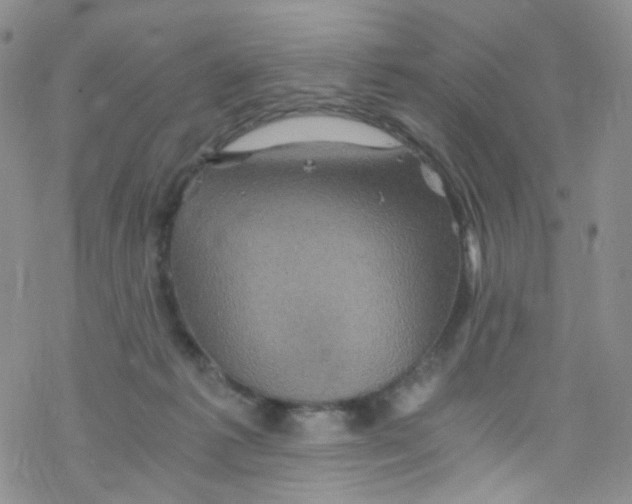 X0000076350221200610272128