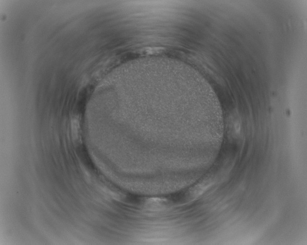 X0000076350222200610272128