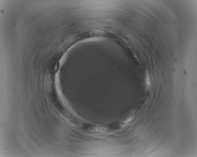 X0000076350223200610272128