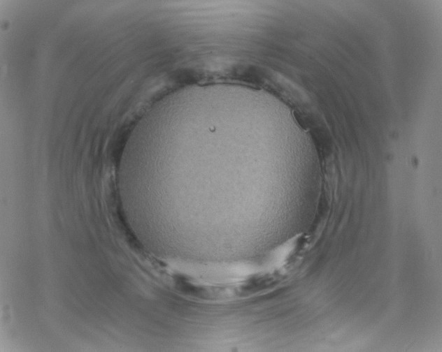 X0000076350225200610272128