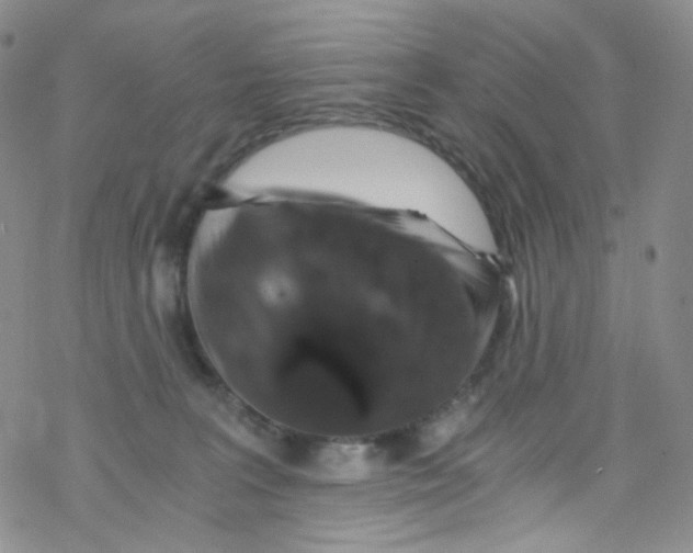 X0000076350227200610272128