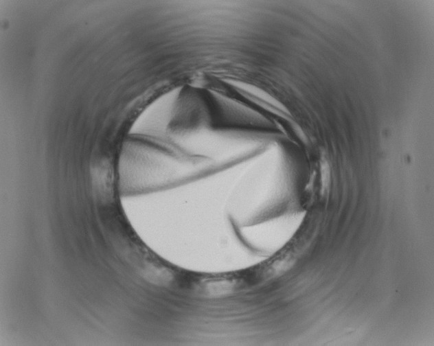 X0000076350228200610272128