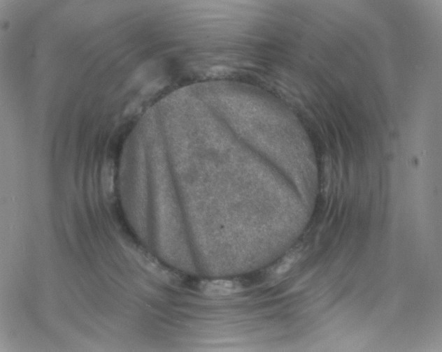 X0000076350230200610272128