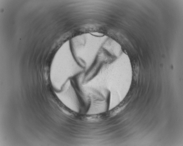 X0000076350232200610272128