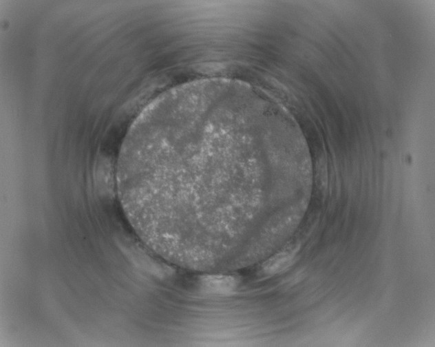 X0000076350234200610272128