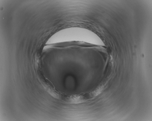 X0000076350235200610272128