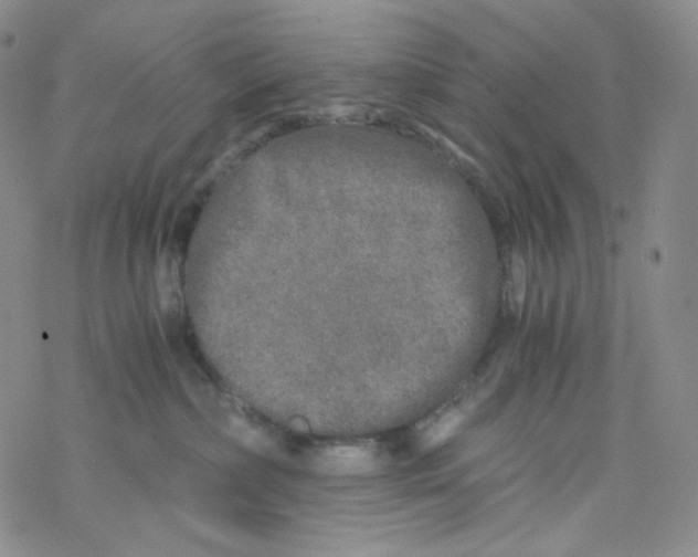 X0000076350236200610272128