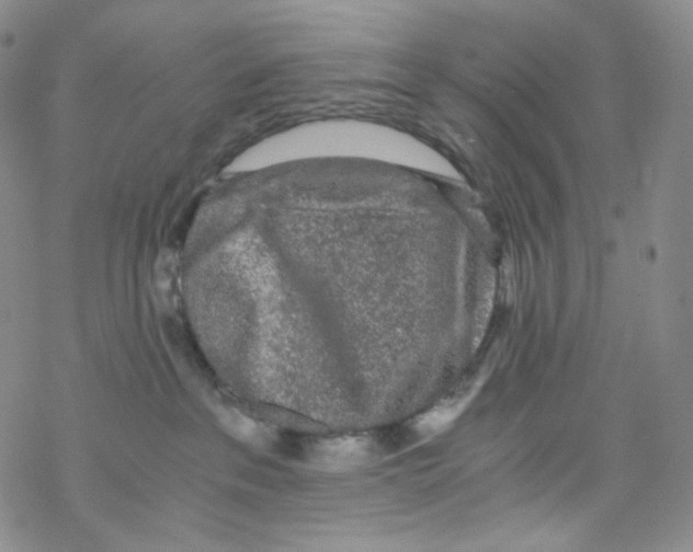 X0000076350237200610272128