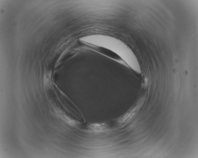 X0000076350239200610272128