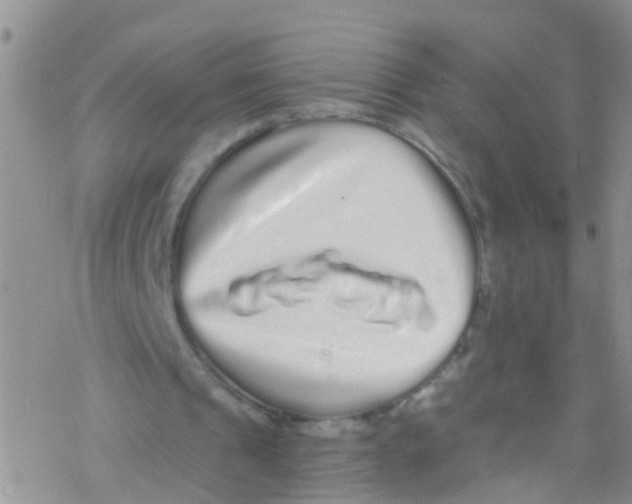 X0000076350241200610272127