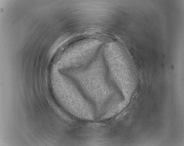 X0000076350242200610272127