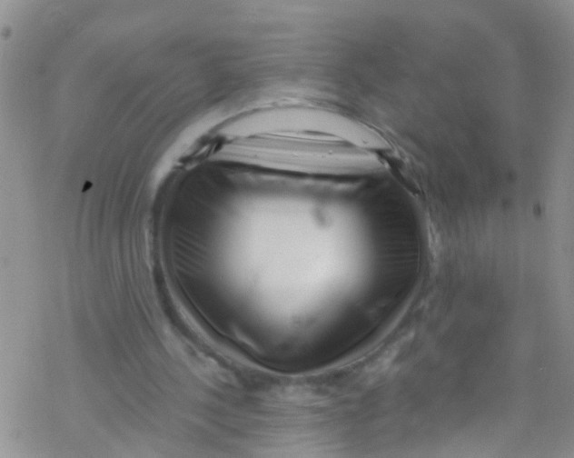 X0000076350244200610272127