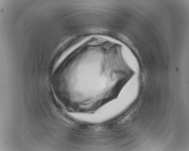 X0000076350249200610272127