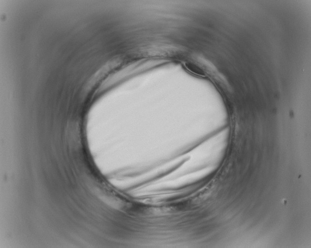 X0000076350250200610272127