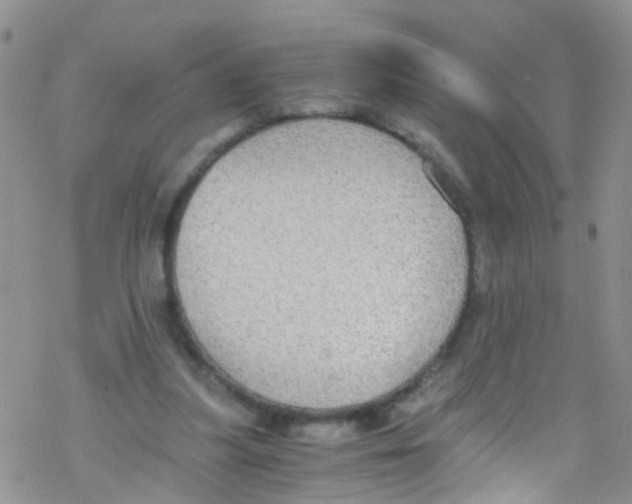 X0000076350251200610272127