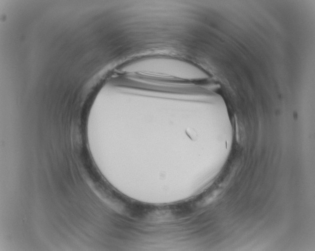 X0000076350252200610272127