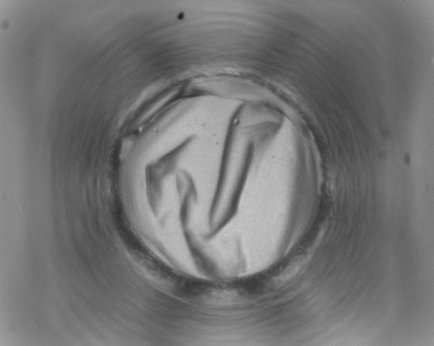 X0000076350256200610272127