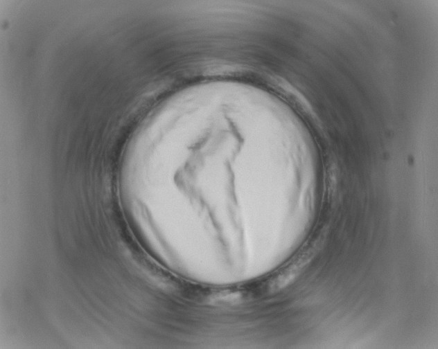 X0000076350257200610272127