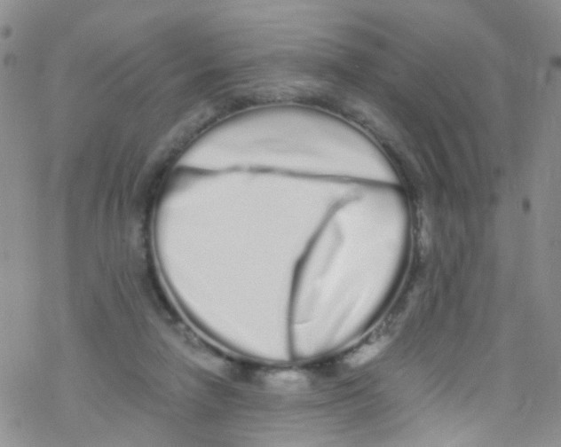 X0000076350258200610272127